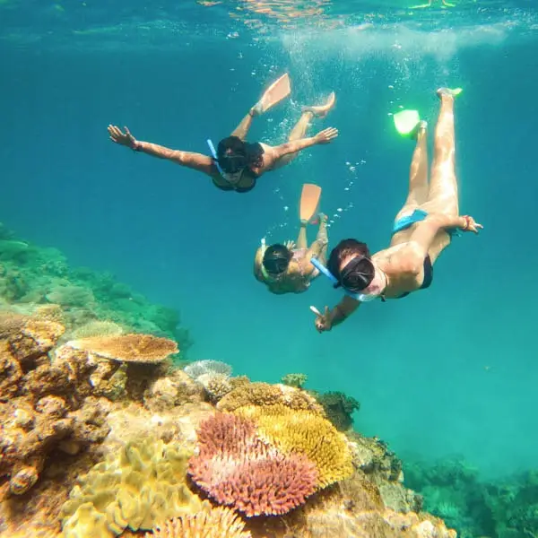 Cairns Destination Image | East Coast Tours Australia